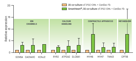 MOLECULAR EXPRESSION