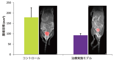 同所性患者由来子宮頸部腫瘍