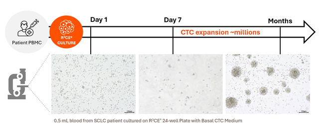 Rapid_CTC_Expansion_and_Purification