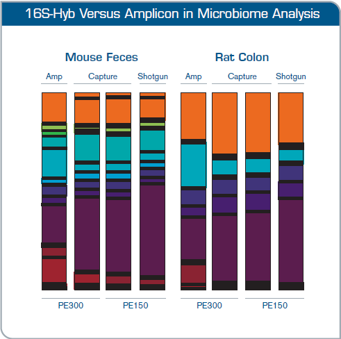 /Portals/0/db/product/ArborBiosciences/baits_16S_pf_fig2.png