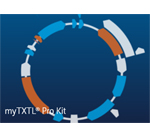 無細胞タンパク質発現キット myTXTL Pro Kit