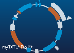 無細胞タンパク質発現キット myTXTL Pro Kit