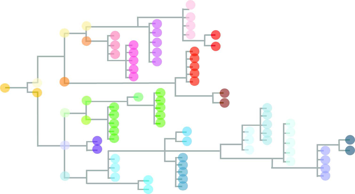 fig1