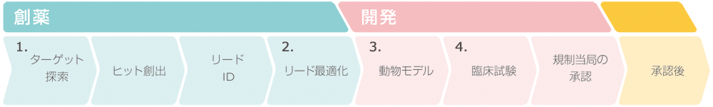医薬品開発プロセスと生体模倣システム