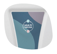 model_multi-organ-std
