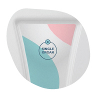 model_single-organ-std