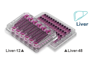 Liverプレート