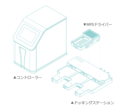 システム構成