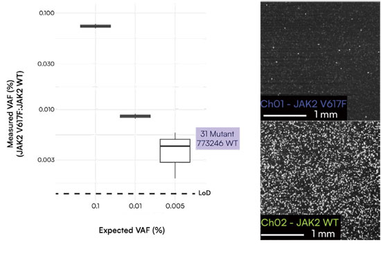 WT JAK2バックグラウンド中にVAF 0.004%で存在するJAK2 V617F変異の検出が可能。