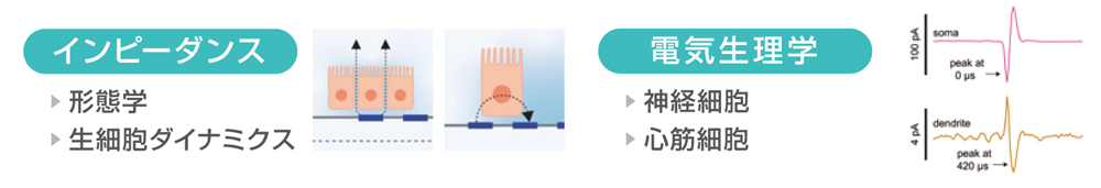 様々な細胞機能に関するデータの収集