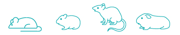 対象動物イラスト