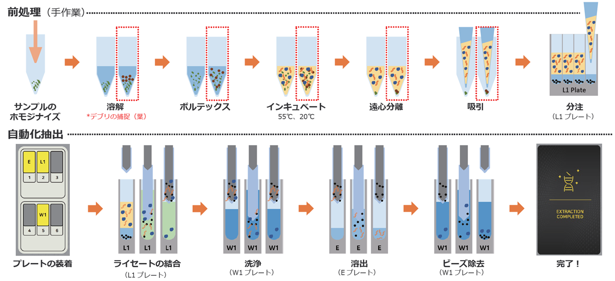 NX-Duo sbeadex Lightning Core キットのワークフロー