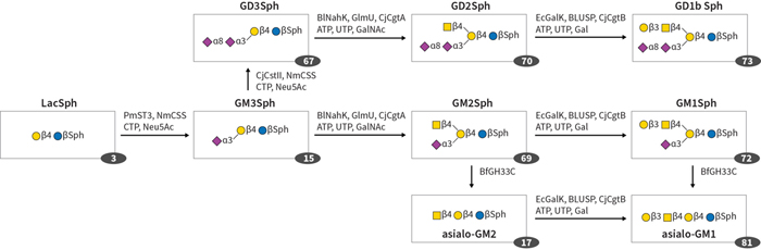 Glyco_Full-Products_Symbols_Nomenclatures