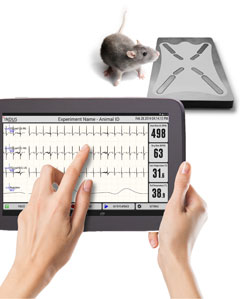 実験小動物用 保温 バイタルサインモニター Rodent Surgical Monitor Indus Instruments プライムテック株式会社