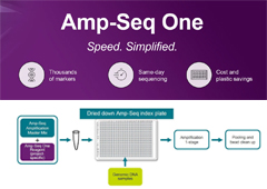 Amp-Seq One