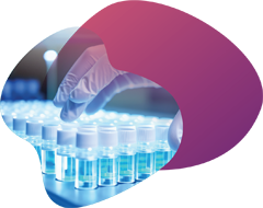 PrimeMax™ siRNA CPG