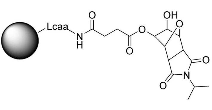 Universal Support DMT off (N-iPr)の構造式 