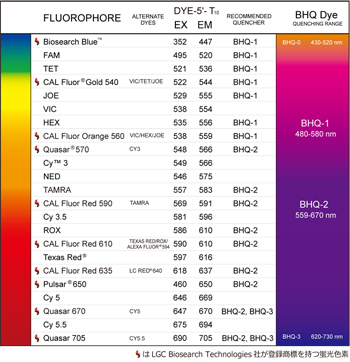色素と波長の対応表