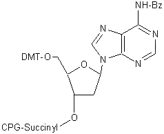 BG1-1000-10 formula