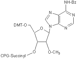 SCG5-1000MR-2 formula