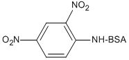 D-5050-100 formula