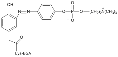 PC-1010-10 formula