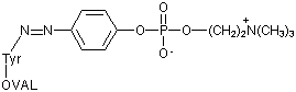 PC-5051-10 formula