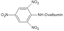 T-5051-100 formula