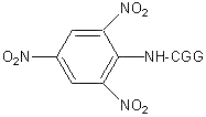 T-5052-1 formula