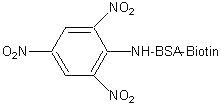 T-5055-5 formula