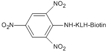 T-5061-5 formula