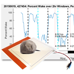 小動物用 無侵襲睡眠・覚醒計測システム