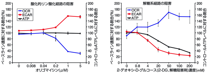 細胞外フラックスアナライザー Nbsp Xfe24 Xfe96 Agilent Technologies プライムテック株式会社