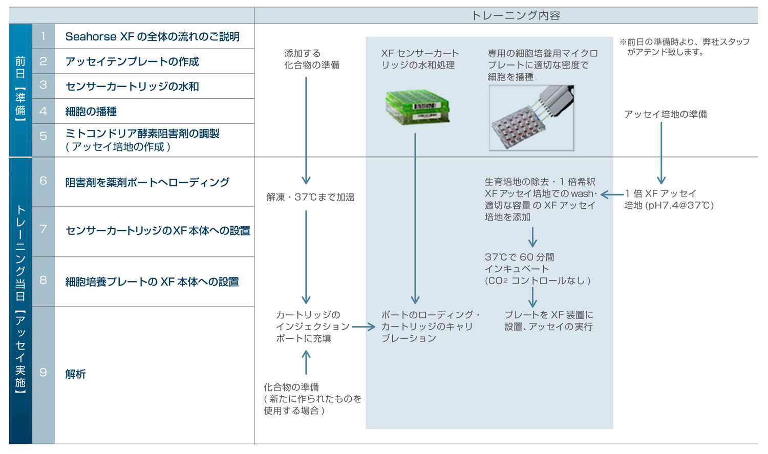 細胞外フラックスアナライザー XF Pro / XF Flex / XFe24