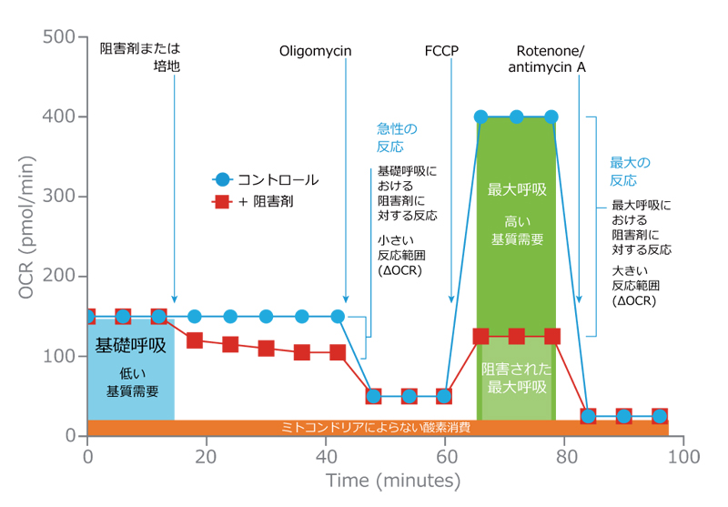 細胞外フラックスアナライザー用キット 試薬 Agilent Technologies プライムテック株式会社 細胞外フラックスアナライザー用キット 試薬 Agilent Technologies プライムテック株式会社