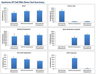 XF STRESS TEST REPORT GENERATORS 画面