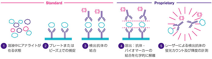 原理 ー独自の１分子カウント技術（SMC<sup>®</sup> : Single Molecule Counting）