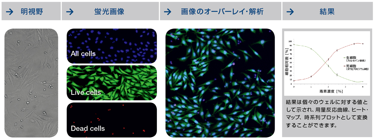 ハイスループット細胞イメージングシステム Cellavista 4/NyONE
