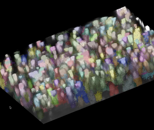Volumetric tissue mapping解説図2