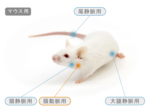 投与部位別アプリケーションカテーテル Instech Laboratories Inc プライムテック株式会社