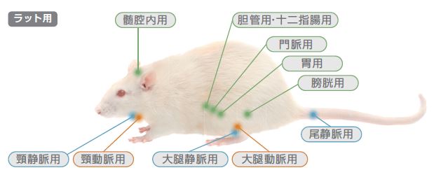 投与部位別アプリケーションカテーテル Instech Laboratories Inc プライムテック株式会社