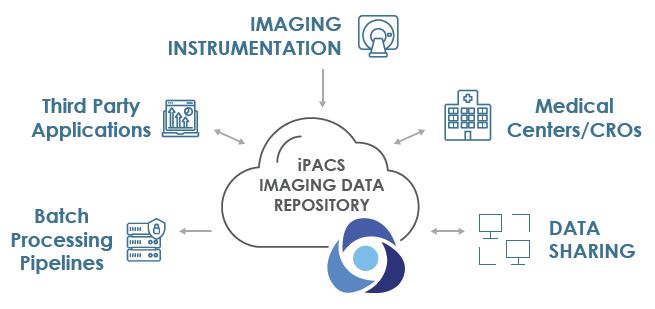 iPACs_network_image