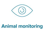 Animal monitoring