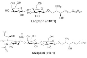 糖鎖生物学研究用試薬