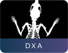 DXA