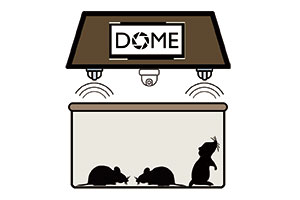DOMEs™